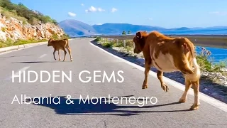 Hidden Gems: Montenegro & Albania (EP 31 – Monday Never Sidecar)