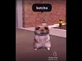 Download Lagu Dang mami i just wanna - #funny #hamstermeme #dahood #mami #notmine (not mine)