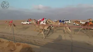 لهايب حمدان بن سيف بن سالم الدرعي ميدان سيح العراد 