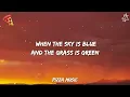 Luke Combs - Days Like These (Lyrics)