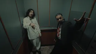                             أفكار                        دندنها