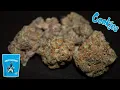 Strain Review - Gary Payton from Cookies