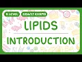 A-Level Biology - Lipids Introduction