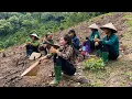 Download Lagu Hong bought cinnamon seedlings and hired laborers to plant them on the mountain.