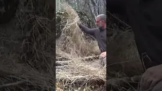 Sasquatch Sleeping Bag - Quick One Night and Move The Next Day Shelter #survival #survivalskills