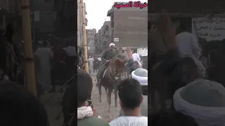 أيوه يا حارة ضلمة احنا اللي نورنا بالمزمار البلدي 