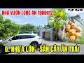 Download Lagu Tập 0619 Nhà vườn Long An 1900mv Đ. Nhựa lớn , cây ăn trái quá trời, giá quá hợp lý | Nhà vườn 365