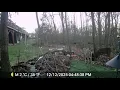 Deer fighting on its hind legs
