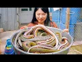 Download Lagu SAPA TV | CÙNG TRANG SAPA TV VÀ BÉ YẾN ĐI CHỢ TỊNH BIÊN \u0026 ĂN MÓN NGON ĐẶC SẢN MIỀN TÂY MÙA NƯỚC NỔI