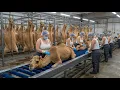 Lagu Inside the Giant Camel Leather Factory Line — The Hidden Industry Behind Desert Luxury