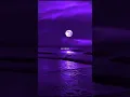 lagu diamond like #diamond #diamond like #story wa #short #lagu #pohon #spotify