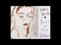 Sonic Youth - Bull In The Heather