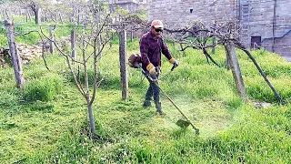 إزالة الأعشاب الضارة من الارض بدون استخدام مبيدات كيماوية 