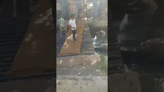 الفنان عادل الخريبكي 