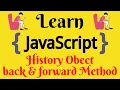 JavaScript Lecture - 67 History Object back forward Method