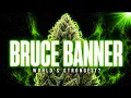 Bruce Banner The Strongest Strain In The World
