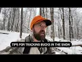 Tips for Tracking Bucks in the Snow