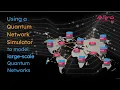 Using a Quantum Network Simulator to model large-scale quantum networks
