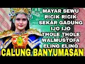 Mayar sewu Banyumasan full album calung lengger banyumasan 2026