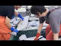 Long Wait Part 3 - Weighing Out the Catch and Delivering