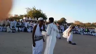 هيثم زمراوي الفريع زواج اولاد عبدالعزيز عمار والكوري 