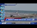 Missing flamingo seen in Port Lavaca - Hannah Trippett Adam Krueger and Sharron