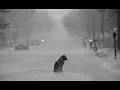 Pat Metheny - Don't Forget  1996.wmv