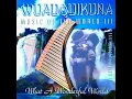 Now We Are Free - Wuauquikuna