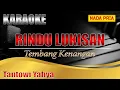 Download Lagu RINDU LUKISAN | TANTOWI YAHYA | KARAOKE | Karaoke Nada Pria