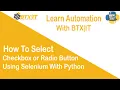 How to select checkbox or radiobutton using selenium with python Lesson