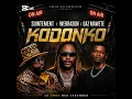 Gaz mawete FT suintement FT Werrason - Kondoko ( AUDIO OFFICIEL )