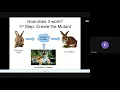 Mutation Testing