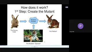 Mutation Testing