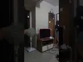 VEGA JELLY DUET PART 1