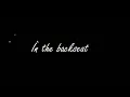 Taxi - The Maine (Lyric video)