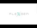 FlexGen