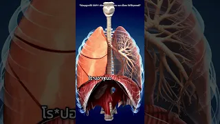 ฝุ่นอันตรายยังไง ทำไมเราต้องให้ความสำคัญ