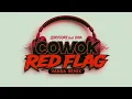 Download Lagu COWOK RED FLAG - QORYGORE feat DNA ( VANDA REMIX )