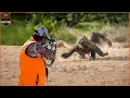 Komodo Hunting - How Is The Fierce Battle Against Komodo In Indonesia