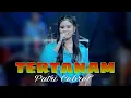 Download Lagu TERTANAM Cover. PutriCebret ft. Ahmad Musik