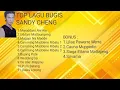 Lagu Top Lagu Bugis Sandy Cheng (FULL ALBUM)