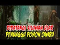 CERITA MISTERI KISAH NYATA : DIDATANGI SILUMAN ULAR PENUNGGU POHON JAMBU