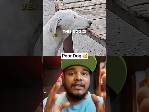 hungry poor dog ❤️‍🩹