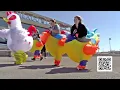 2026 Meadowlands Racetrack Chicken Run