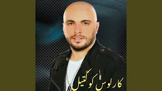                    دندنها