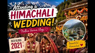 Attending a Himachali Wedding! 🏔️✨ | Nidhie Verma Vlogs | Old Vlogs 2021