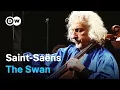 Lagu Saint-Saëns: The Swan - Masterpiece of Romanticism | Mischa Maisky, cello