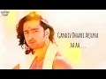 Download Lagu Arjun theme song full HD with lyrics - Gandiv Daari