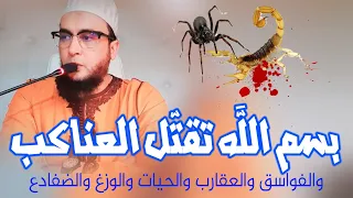 رقية قتل الشياطين تجسدت بصور الفواسق عناكب عقارب حيات حرباء ضفادع قردة وزغ الراقي المغربي نعيم ربيع 