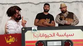 مش ينا معش نحكي سياسة لا تنزع أظافر القطة إذا كنت لا تستطيع حمايتها 